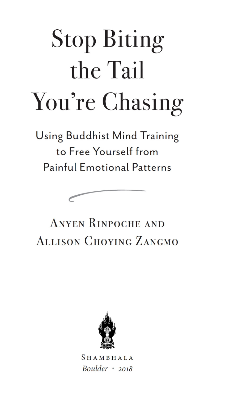 (image for) Stop Biting the Tail Your Chasing by Anyen Rinpoche (epub)